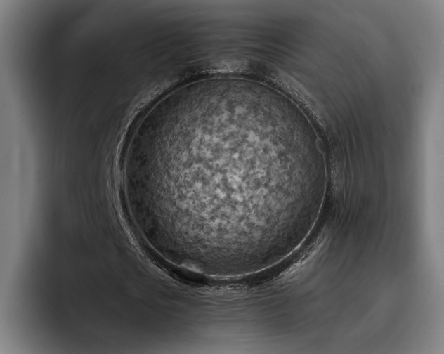 X0000093510721200710121531