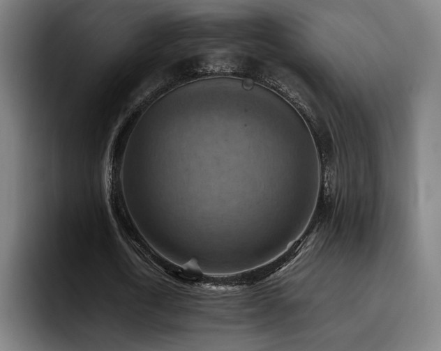X0000093510722200710121531