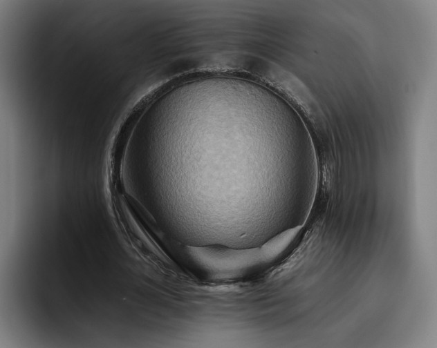 X0000093510724200710121531