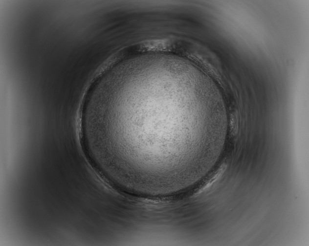 X0000093510725200710121531