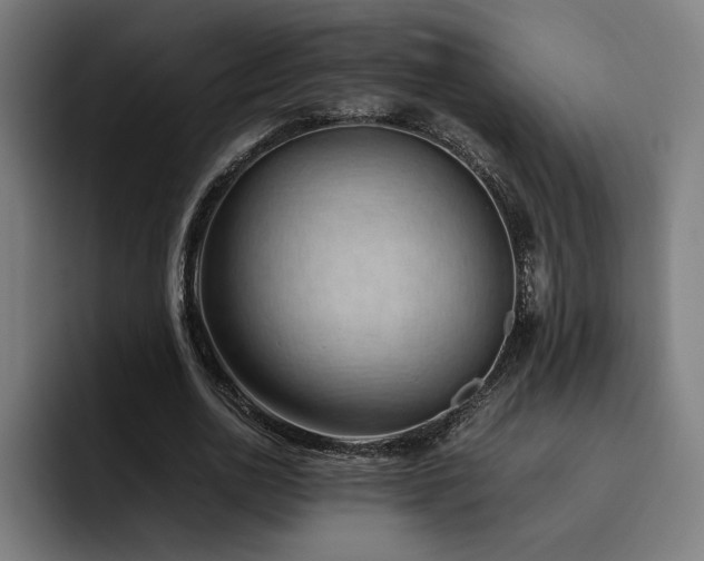 X0000093510726200710121531