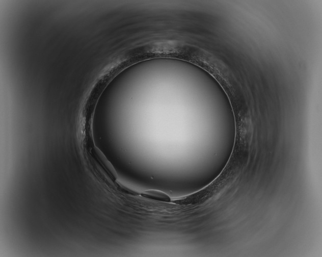 X0000093510727200710121531