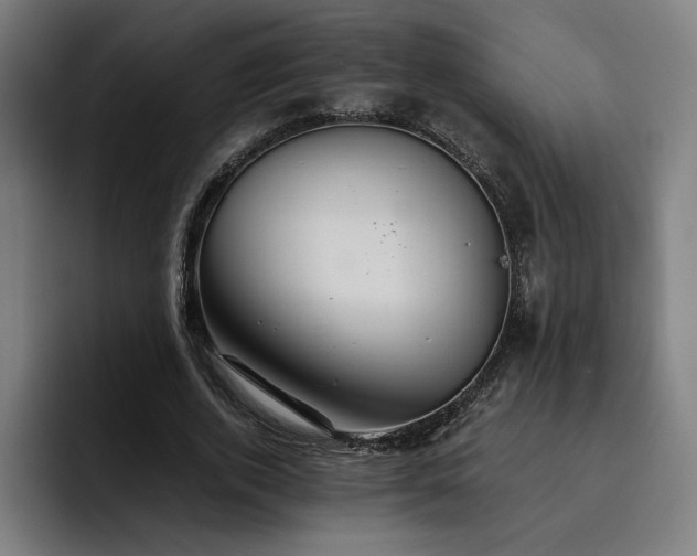 X0000093510728200710121531