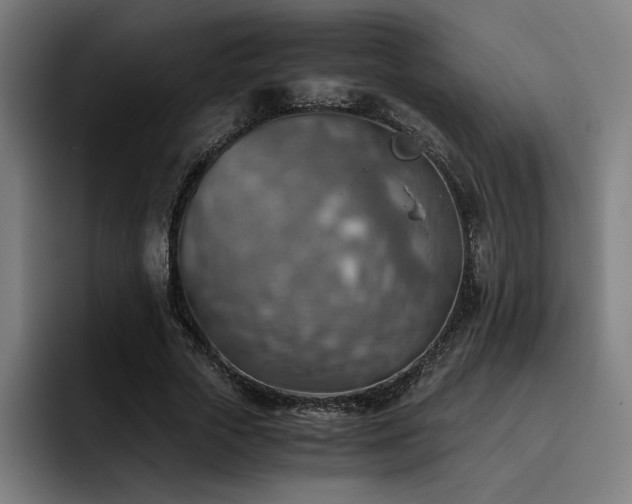 X0000093510729200710121531