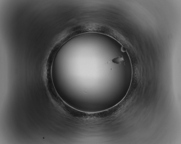 X0000093510730200710121531