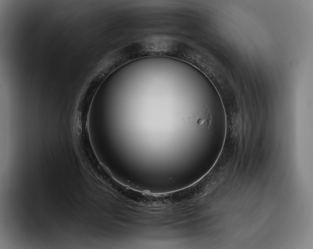 X0000093510731200710121531