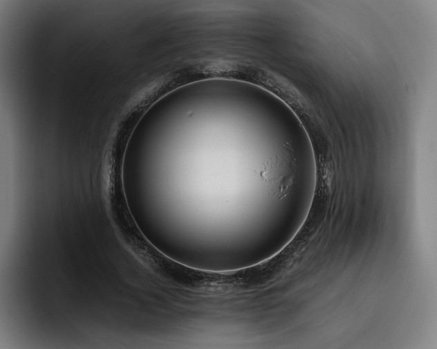 X0000093510732200710121531