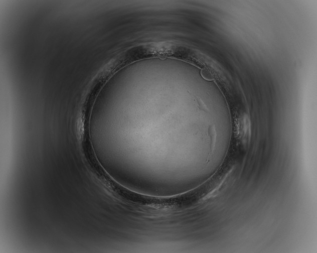 X0000093510733200710121531
