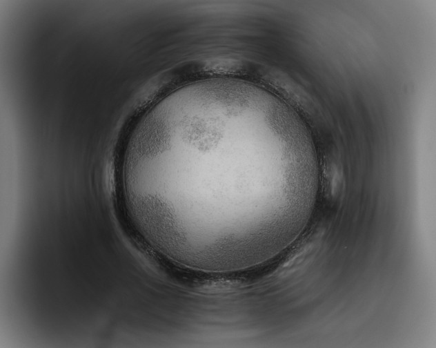 X0000093510734200710121531