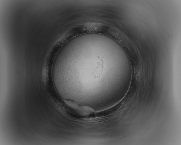 X0000093510735200710121531