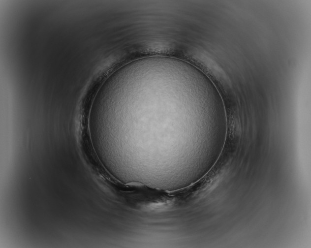X0000093510736200710121531