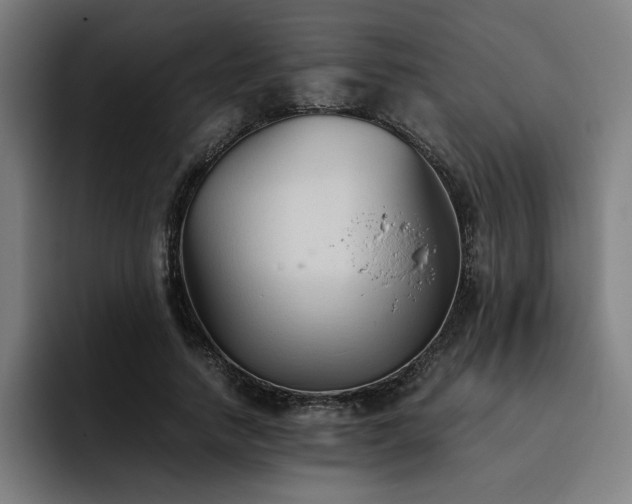 X0000093510738200710121531
