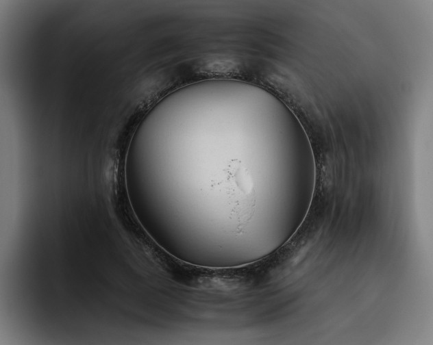 X0000093510739200710121531