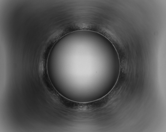 X0000093510740200710121531