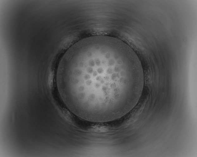 X0000093510742200710121531