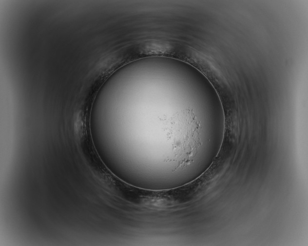 X0000093510743200710121531