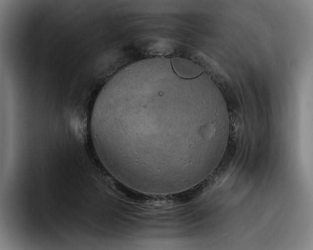 X0000093510745200710121531