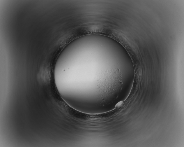 X0000093510746200710121531