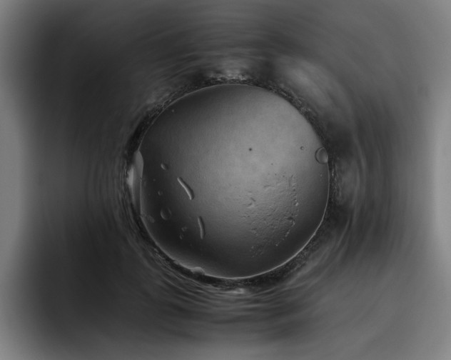 X0000093510747200710121531