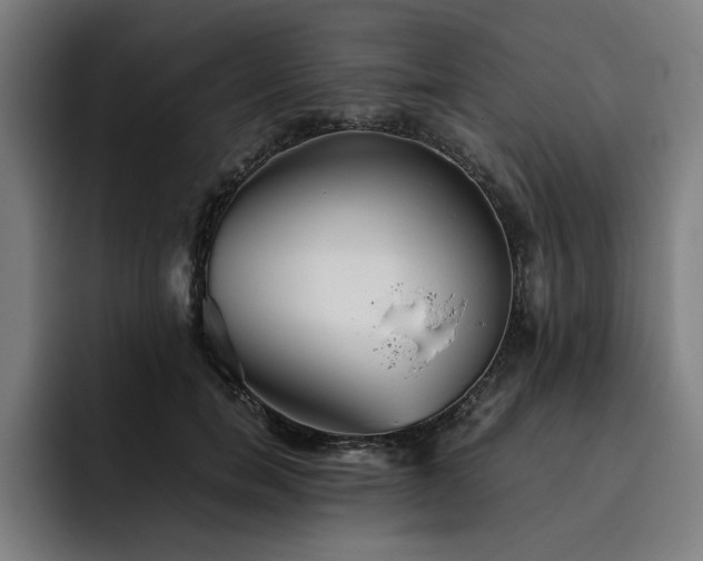X0000093510750200710121531