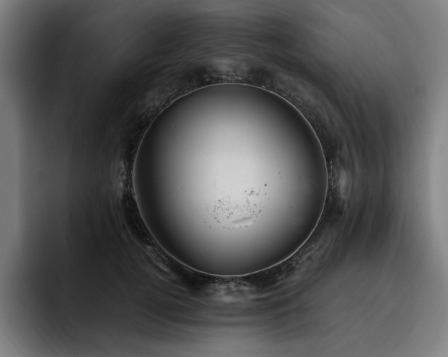 X0000093510752200710121531
