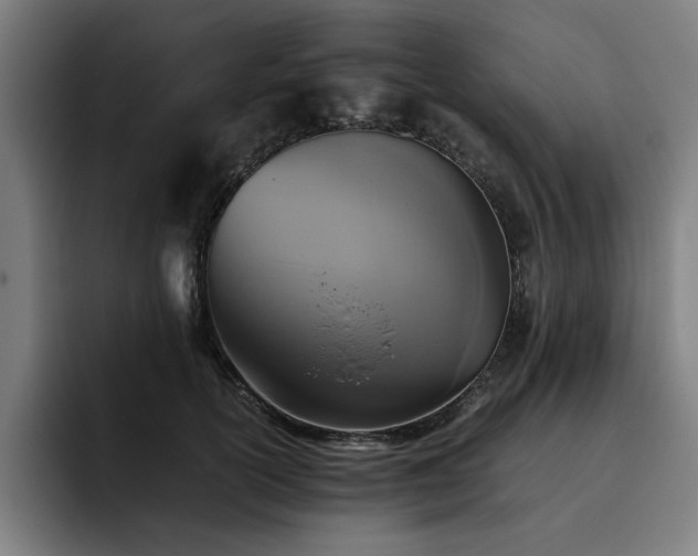 X0000093510754200710121531