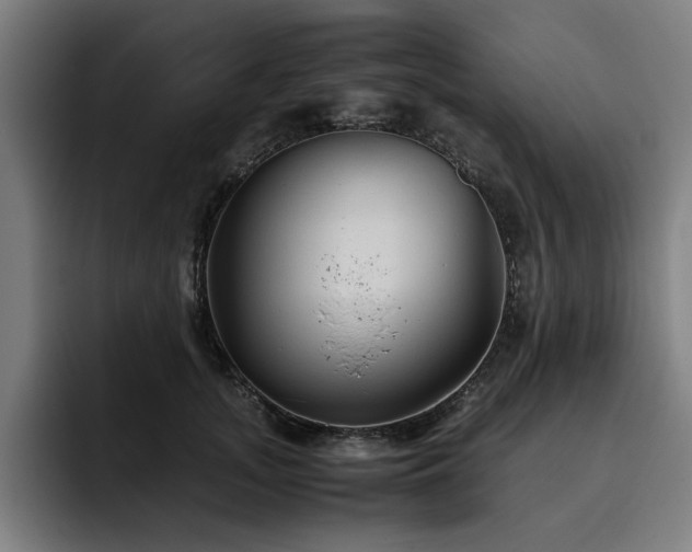 X0000093510755200710121531