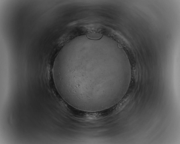 X0000093510757200710121531
