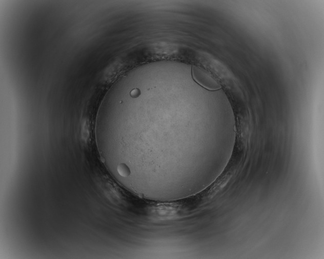 X0000093510758200710121531