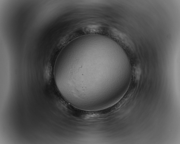 X0000093510760200710121531