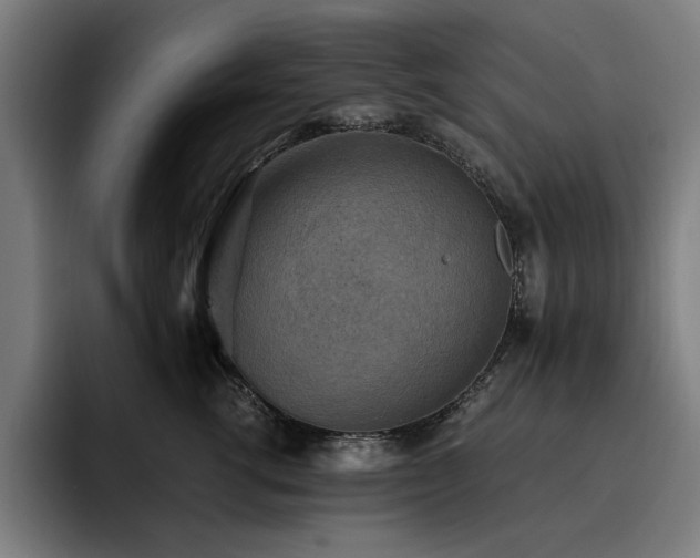 X0000093510762200710121531