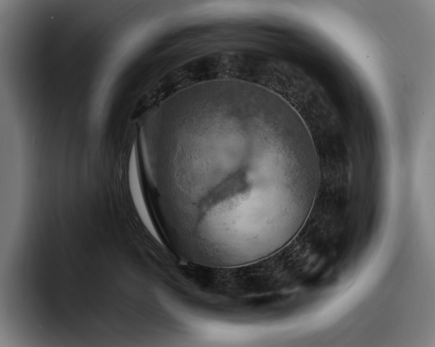 X0000093510766200710121531