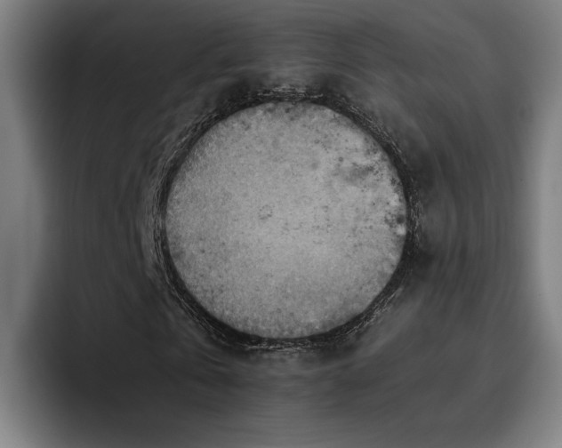 X0000093510769200710121531