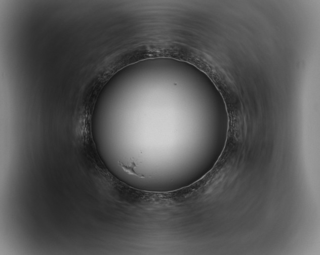 X0000093510770200710121531