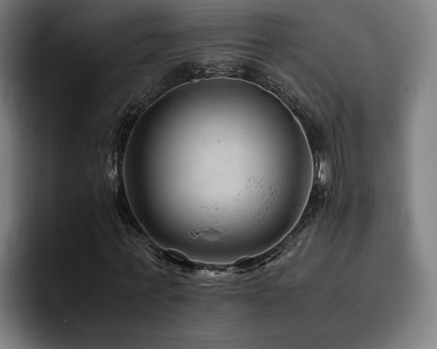 X0000093510771200710121531