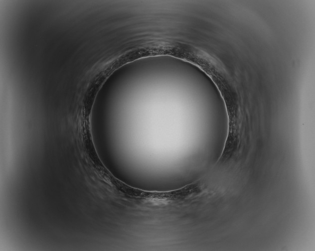 X0000093510773200710121531