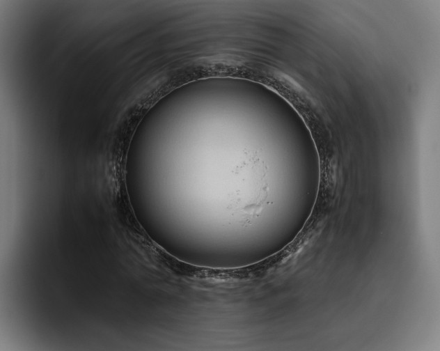 X0000093510774200710121531
