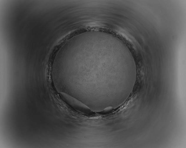 X0000093510775200710121531