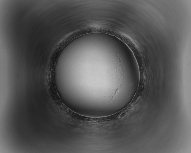 X0000093510776200710121531