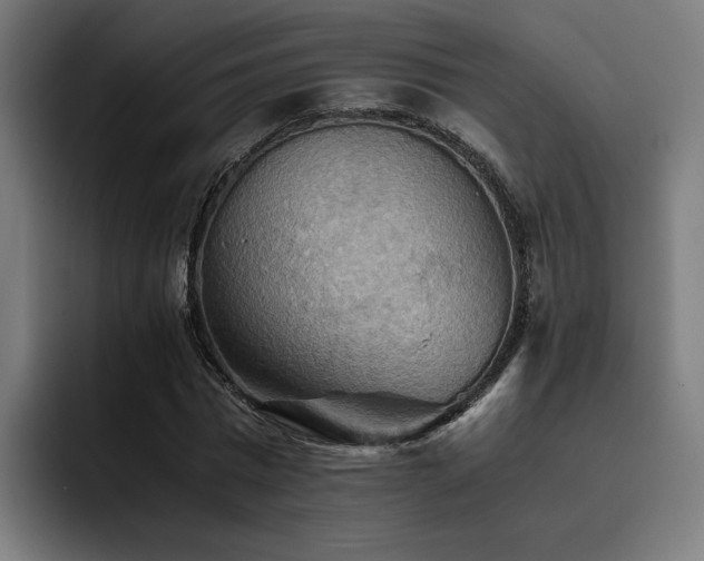 X0000093510777200710121531