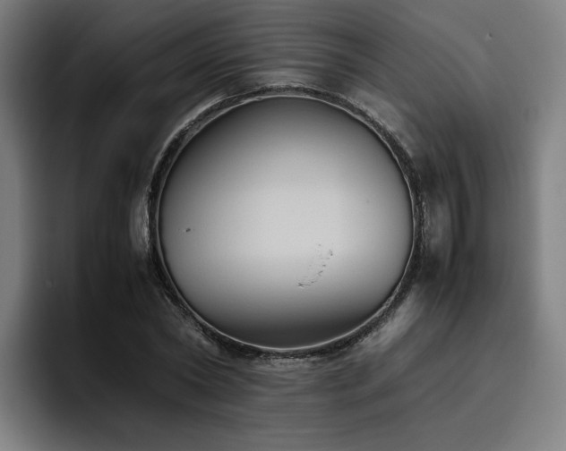X0000093510782200710121531