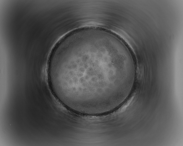 X0000093510783200710121531