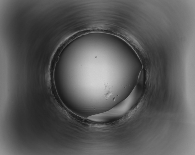 X0000093510784200710121531