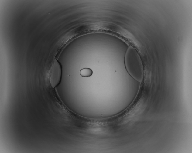 X0000093510785200710121531