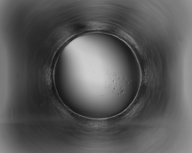 X0000093510786200710121531