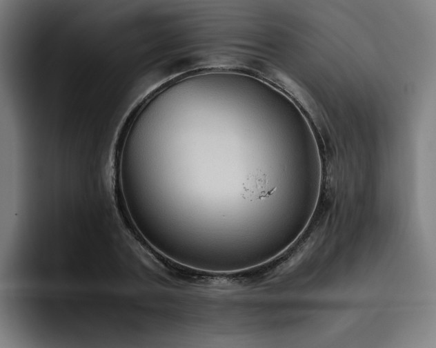X0000093510787200710121531
