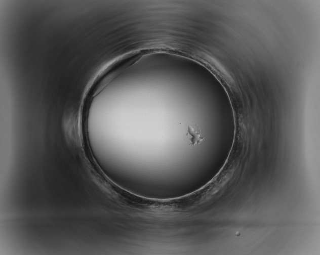 X0000093510788200710121531