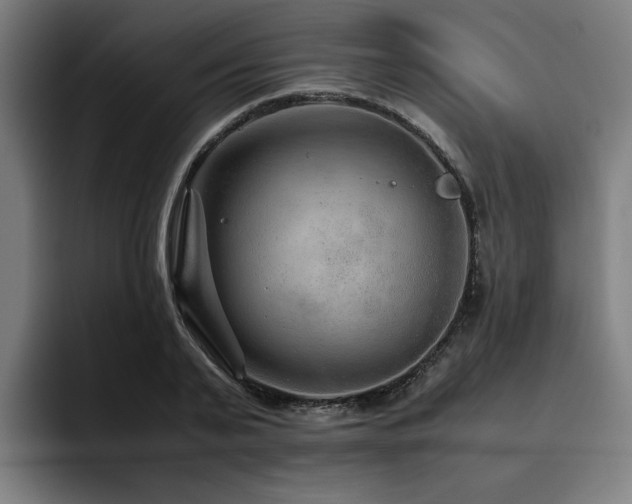 X0000093510791200710121530