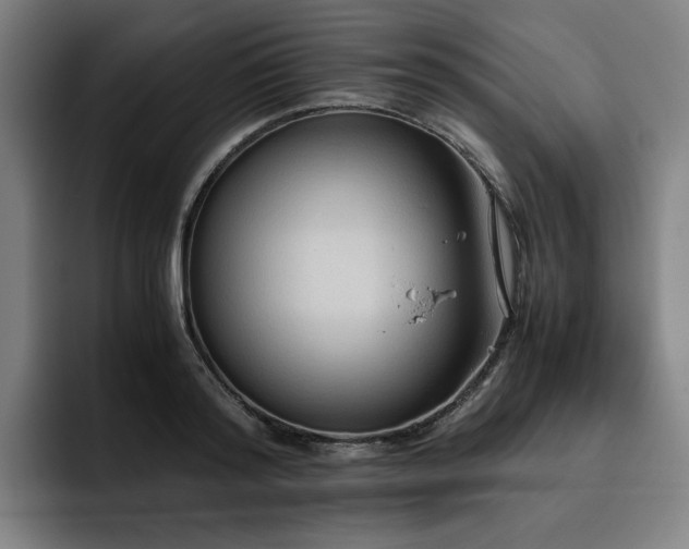 X0000093510796200710121530