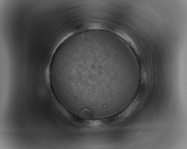 X0000093510798200710121530